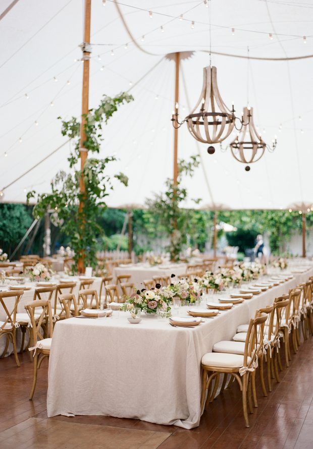 elisa-bricker-charlottesville-virginia-wedding-rentals